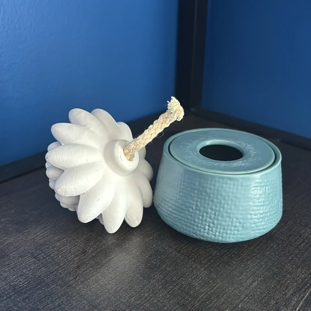 {Huntington Home} Blue Succulent Essential Oil wick diffuser